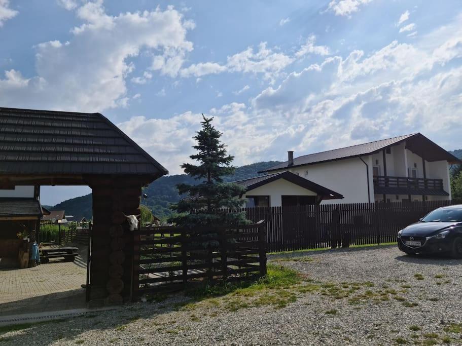 Cabana Bujor De Munte Rîşnov 外观 照片