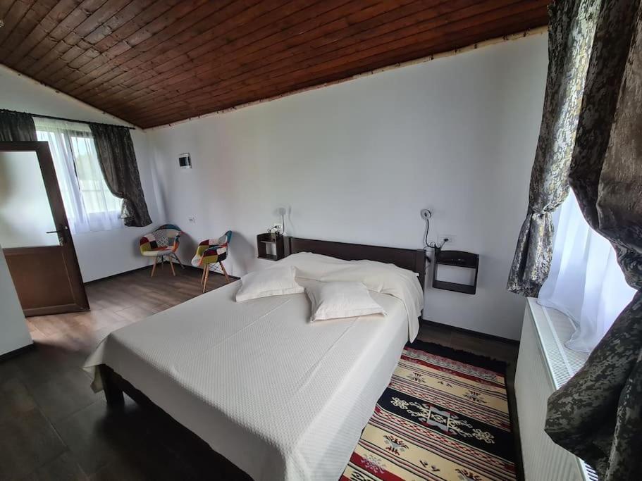 Cabana Bujor De Munte Rîşnov 外观 照片