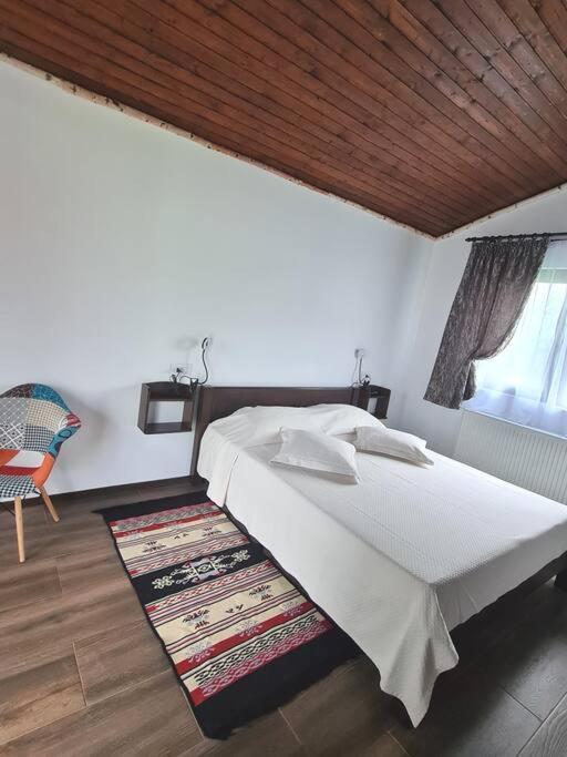 Cabana Bujor De Munte Rîşnov 外观 照片