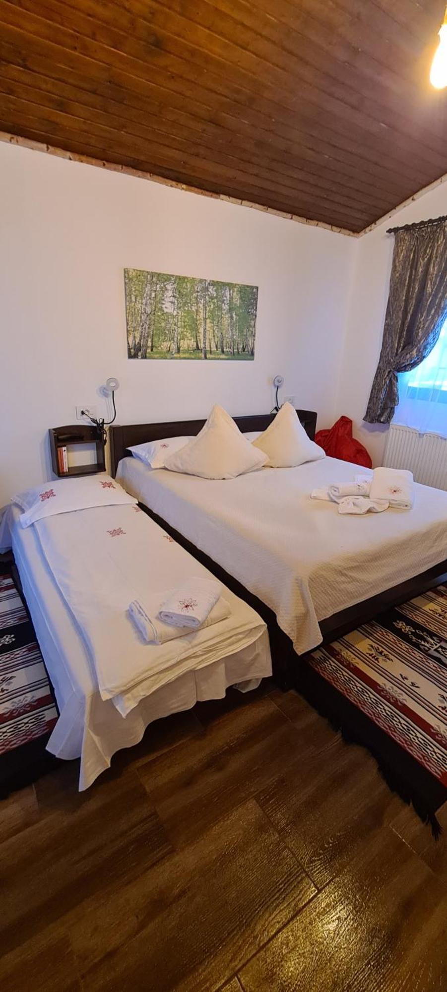 Cabana Bujor De Munte Rîşnov 外观 照片