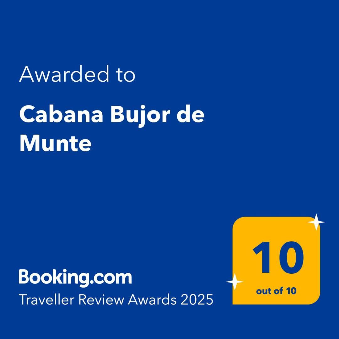 Cabana Bujor De Munte Rîşnov 外观 照片