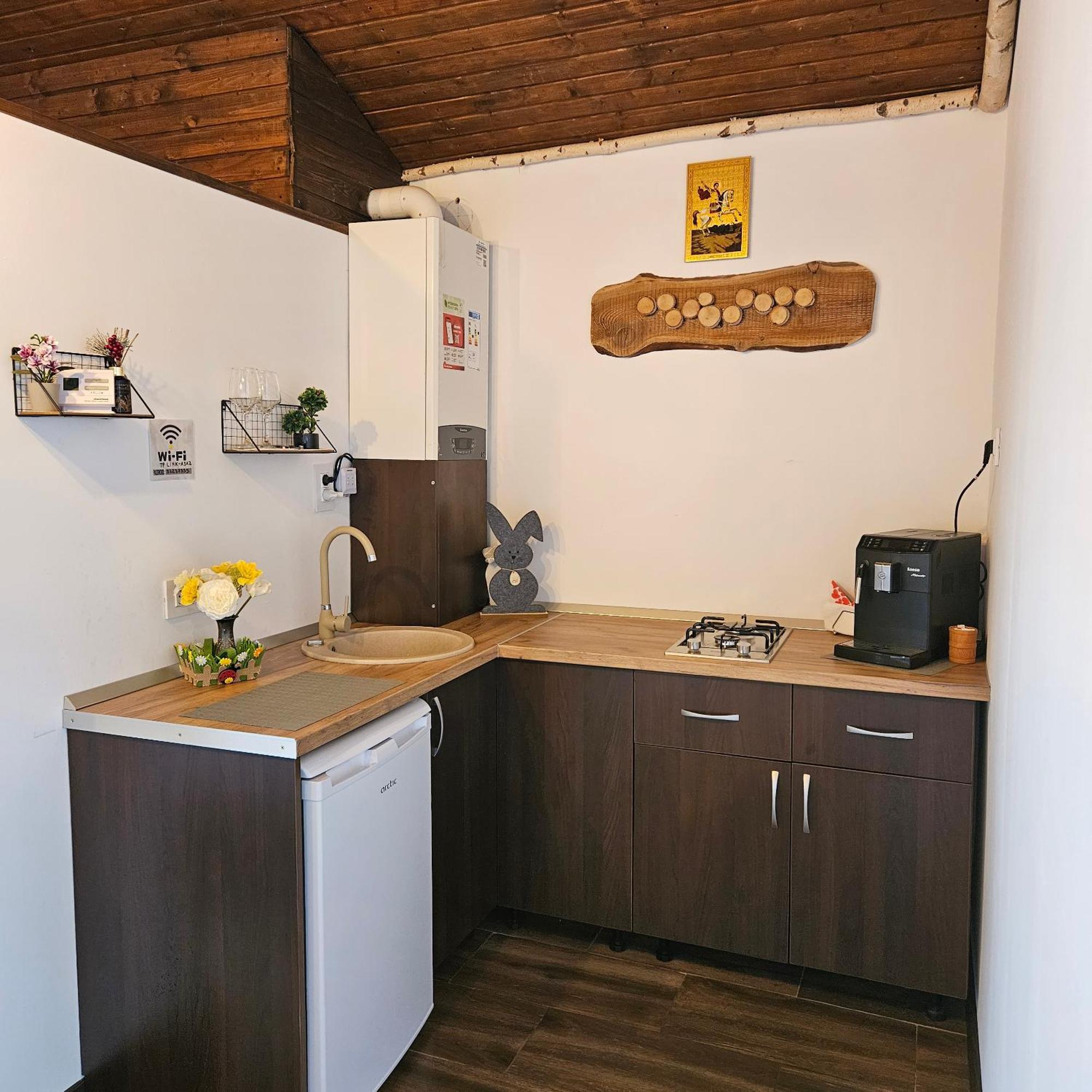 Cabana Bujor De Munte Rîşnov 外观 照片